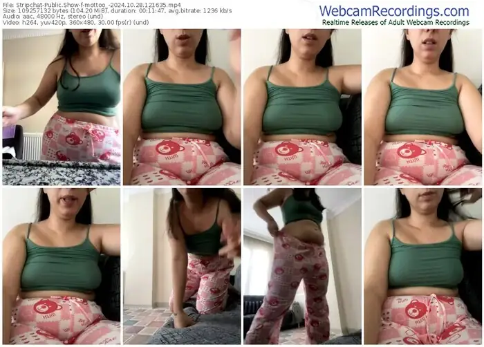 stripchat-mottoo_-10-28-2024-12-16-35