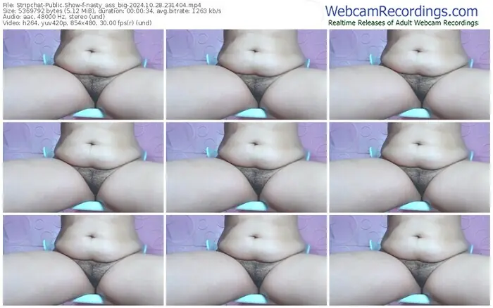 stripchat-nasty_ass_big-10-28-2024-23-14-04
