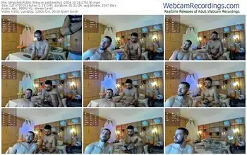 stripchat-petterwilly1-10-28-2024-17-51-30