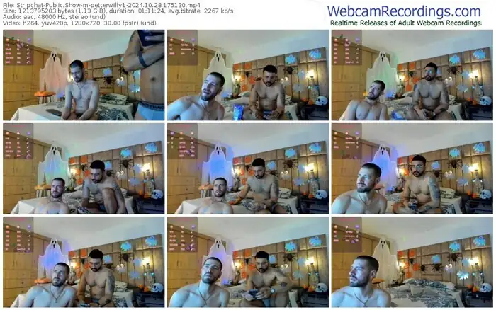 stripchat-petterwilly1-10-28-2024-17-51-30