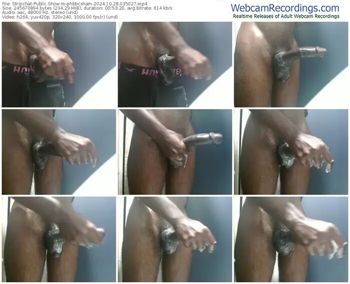 stripchat-phbbcsham-10-28-2024-03-50-27