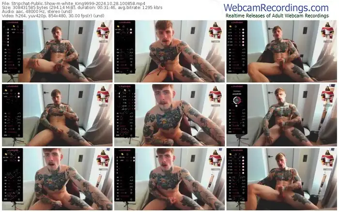 stripchat-white_king9999-10-28-2024-10-08-58