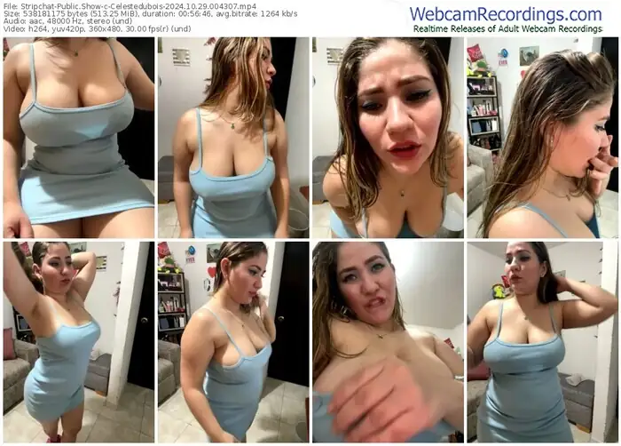 stripchat-celestedubois-10-29-2024-00-43-07