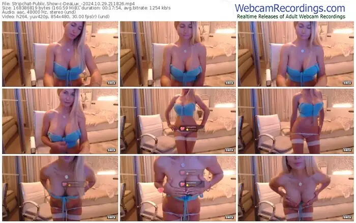 stripchat-dealux_-10-29-2024-21-18-26