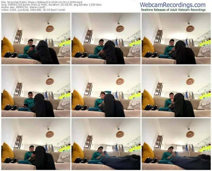 stripchat-rebeu313-10-29-2024-11-20-56