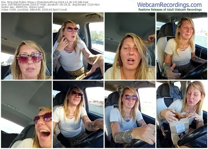 stripchat-sheissomething-10-29-2024-22-13-48