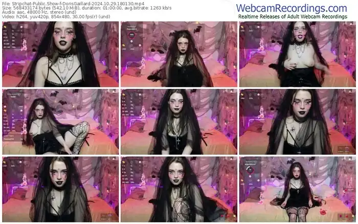 stripchat-dorisgaillard-10-29-2024-18-01-30