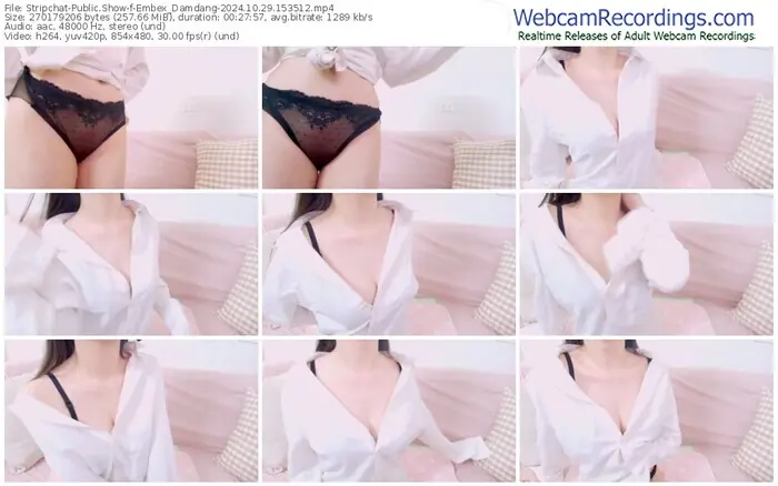 stripchat-embex_damdang-10-29-2024-15-35-12