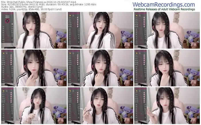 stripchat-vaness-a-10-29-2024-00-15-47