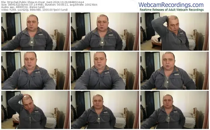 stripchat-diver_gent-10-29-2024-08-48-02