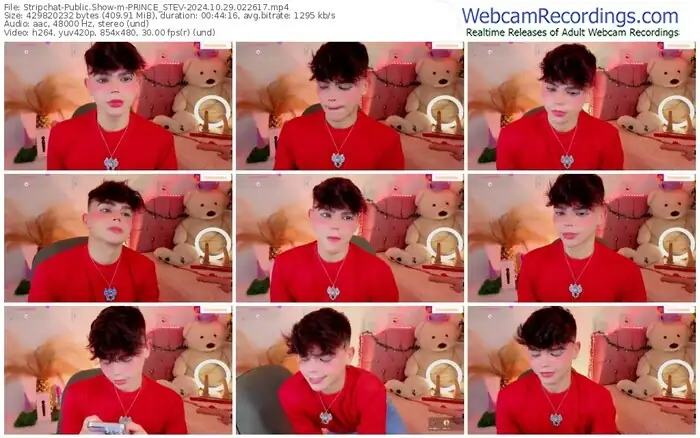 stripchat-prince_stev-10-29-2024-02-26-17