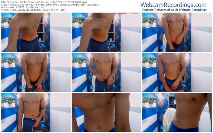 stripchat-samuel_hills-10-29-2024-21-26-00