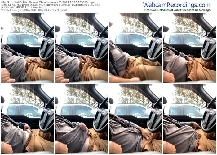 stripchat-themechanic420-10-29-2024-13-55-13