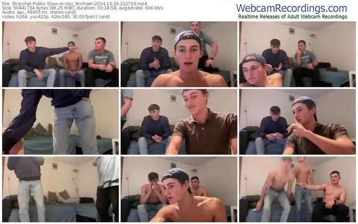 stripchat-vixi_wichsen-10-29-2024-22-27-03