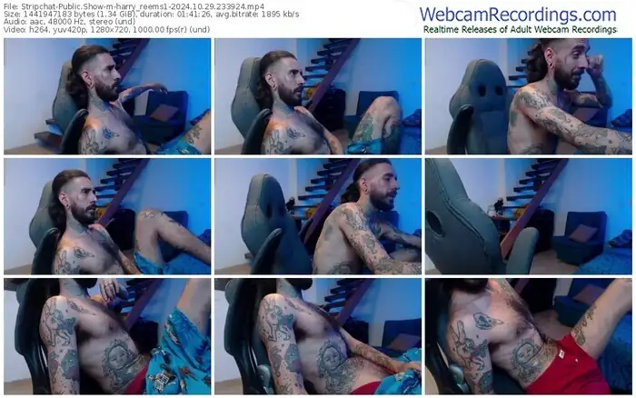 stripchat-harry_reems1-10-29-2024-23-39-24
