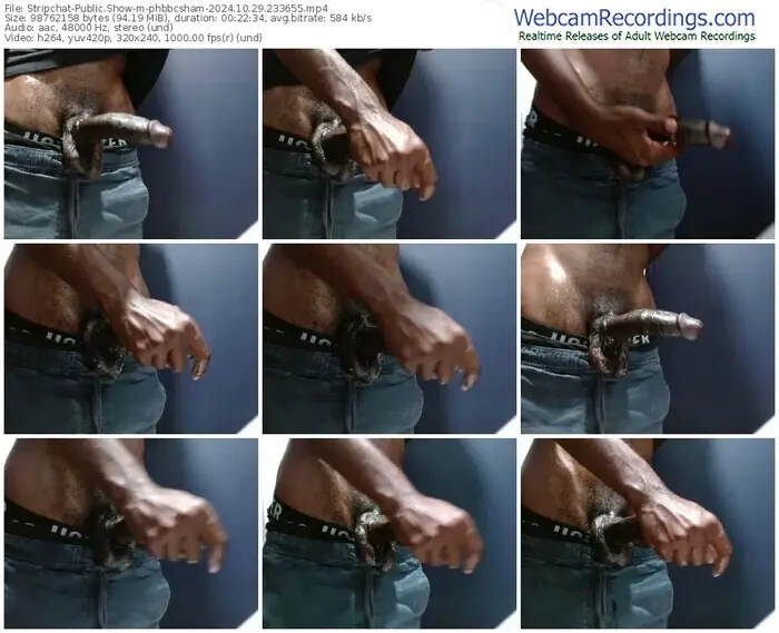 stripchat-phbbcsham-10-29-2024-23-36-55