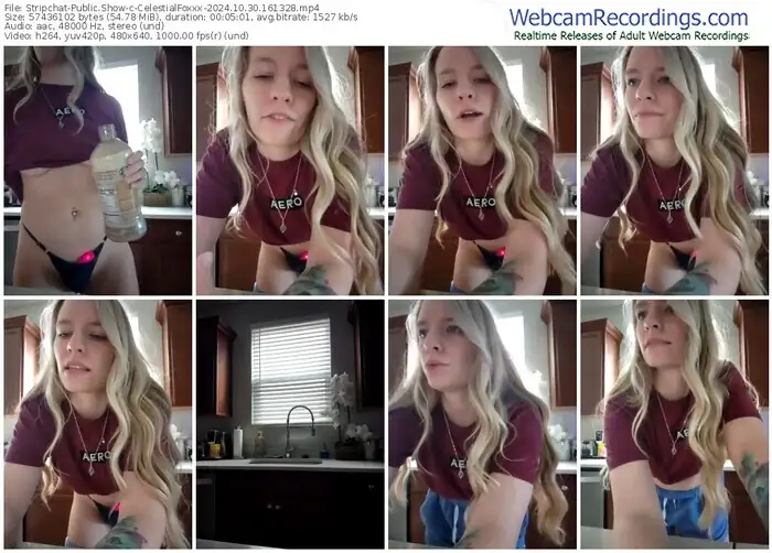 stripchat-celestialfoxxx-10-30-2024-16-13-28