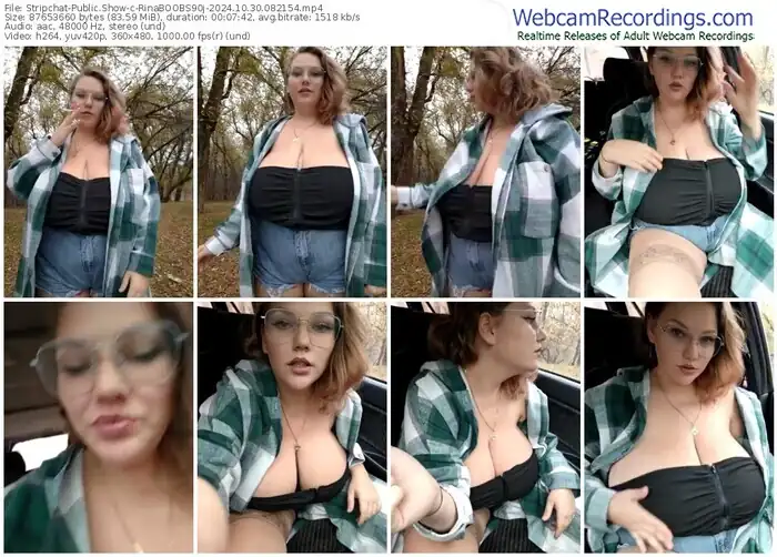 stripchat-rinaboobs90j-10-30-2024-08-21-54