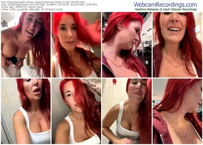 stripchat-black-flamingo-10-30-2024-13-56-46