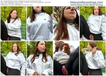 stripchat-dreams4u-10-30-2024-11-15-16