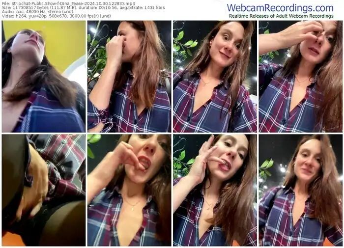 stripchat-dina_tease-10-30-2024-12-28-33