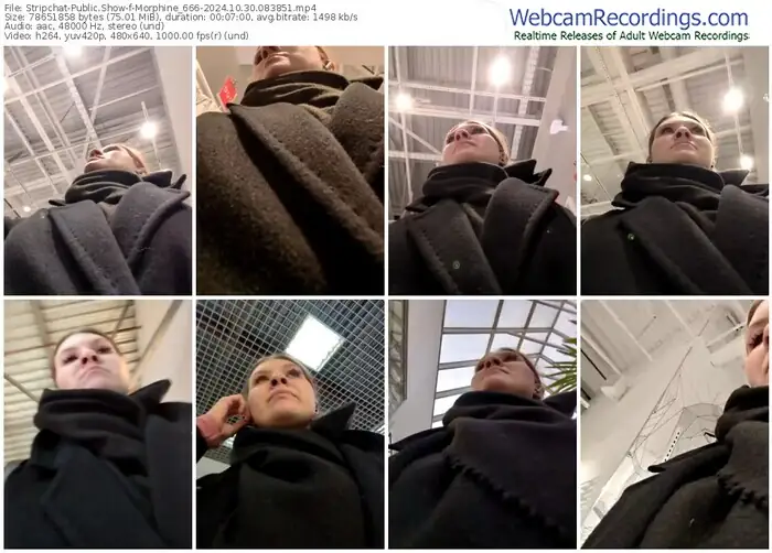 stripchat-morphine_666-10-30-2024-08-38-51