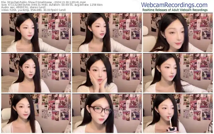 stripchat-smallmeow_-10-30-2024-12-01-41