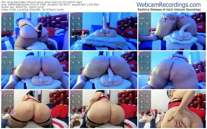 stripchat-venus_r0se-10-30-2024-14-00-47