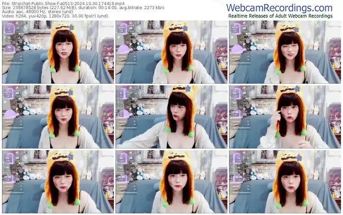 stripchat-a0513-10-30-2024-17-44-19