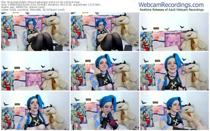 stripchat-aikonany-10-30-2024-13-52-14