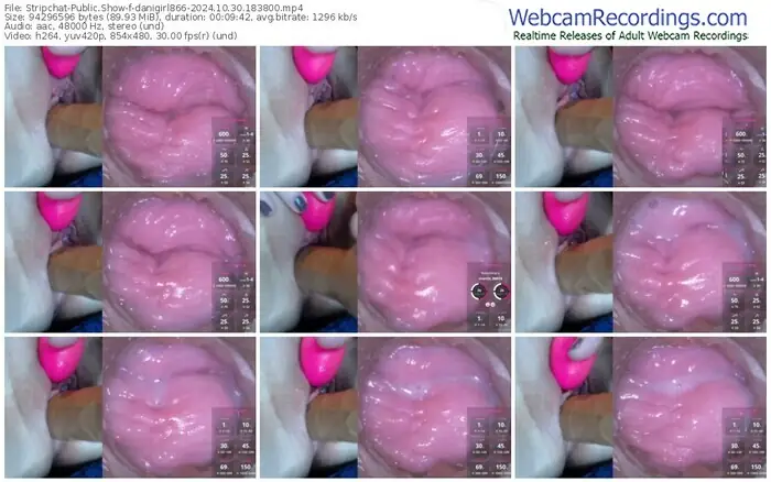 stripchat-danigirl866-10-30-2024-18-38-00