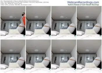 stripchat-ssk10n-10-30-2024-16-44-46