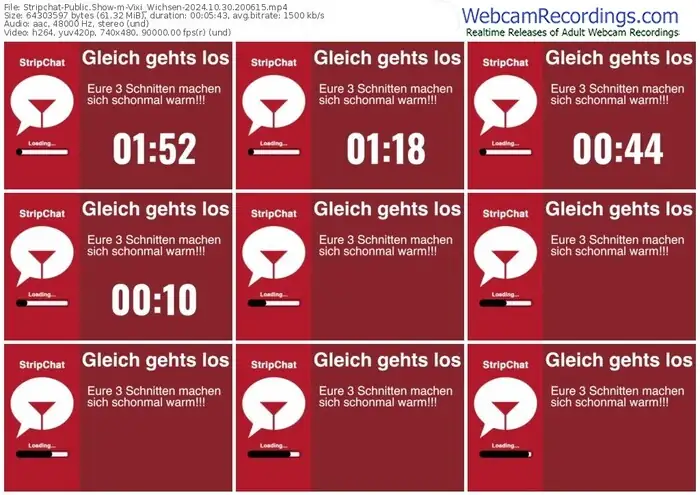 stripchat-vixi_wichsen-10-30-2024-20-06-15