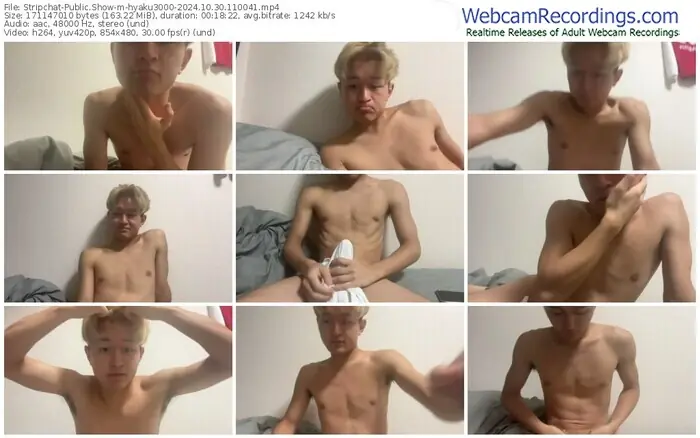 stripchat-hyaku3000-10-30-2024-11-00-41