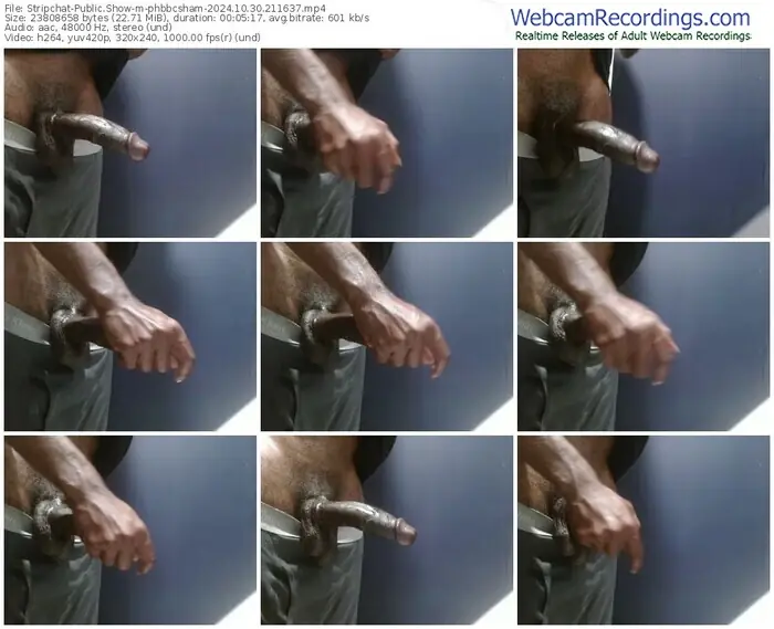 stripchat-phbbcsham-10-30-2024-21-16-37