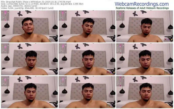 stripchat-whitesun_01-10-31-2024-17-41-56