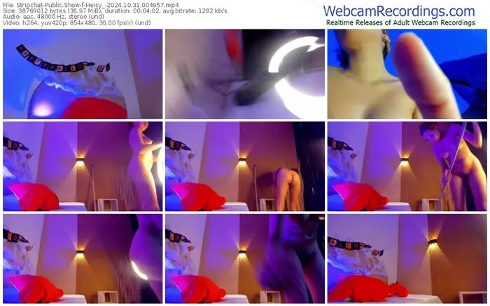 stripchat-heicy_-10-31-2024-00-49-57