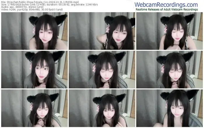 stripchat-koala_cici-10-31-2024-13-56-56