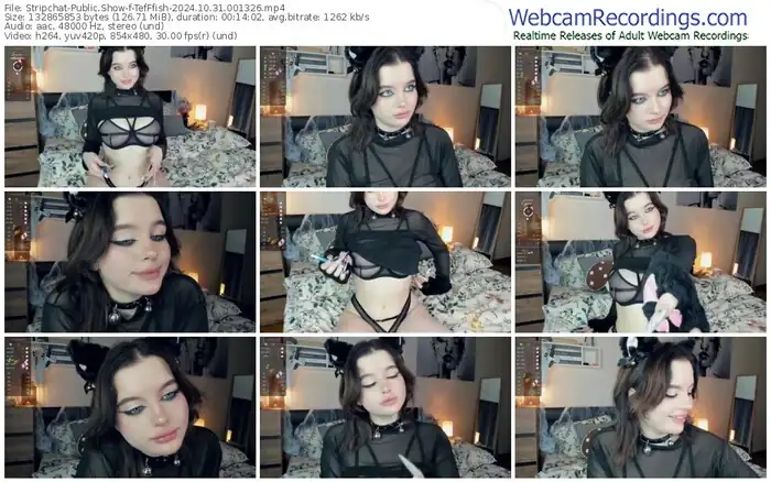 stripchat-tefffish-10-31-2024-00-13-26