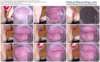 stripchat-danigirl866-10-31-2024-20-07-57