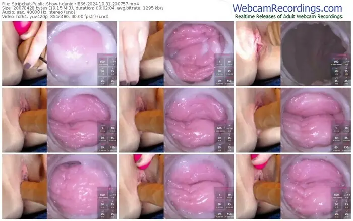 stripchat-danigirl866-10-31-2024-20-07-57