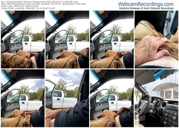 stripchat-themechanic420-10-31-2024-18-12-44