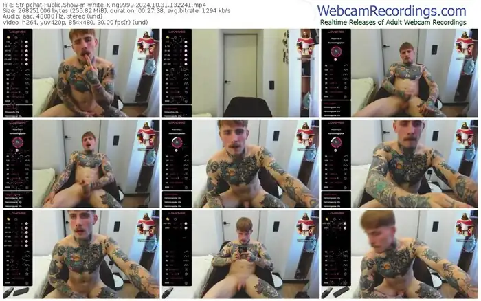 stripchat-white_king9999-10-31-2024-13-22-41