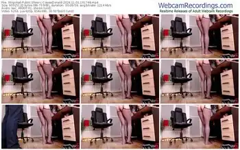 stripchat-cassiedonald-11-01-2024-16-17-48