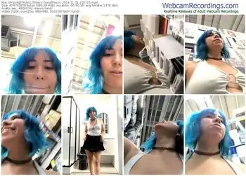 stripchat-gerallfoxxx-11-01-2024-22-07-15