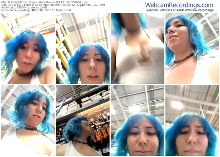 stripchat-gerallfoxxx-11-01-2024-23-00-56