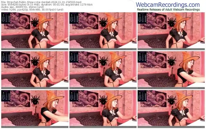 stripchat-kai-gerda6-11-01-2024-15-45-00