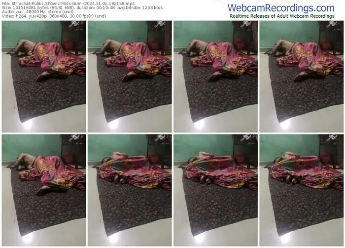stripchat-miss-ginni-11-01-2024-19-21-58