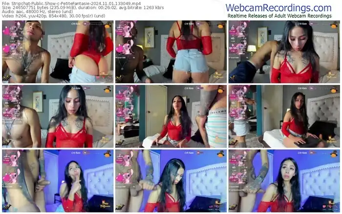stripchat-petitefantasie-11-01-2024-13-30-49