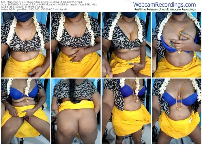 stripchat-tamil-hotwife-11-01-2024-06-29-53